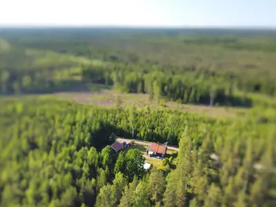 Vogelperspektive