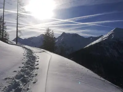 Schneeschuhwandern