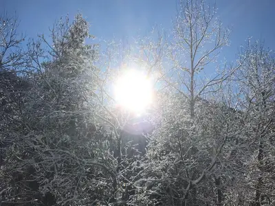 Winterwonderland