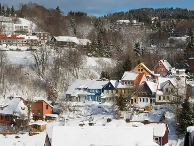 Ferienhaus für 5 Personen (100 m²) in Sankt Andreasberg 1/10