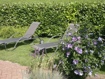 Ferienhaus für 4 Personen (90 m²) in Krummhörn Greetsiel 9/10