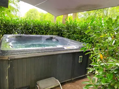 Wellness