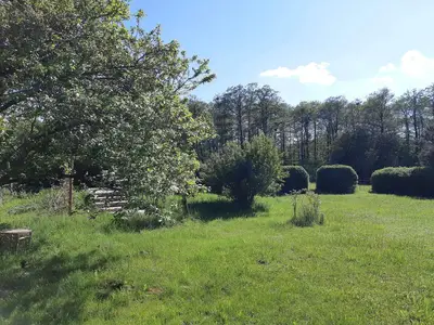 Outdoor