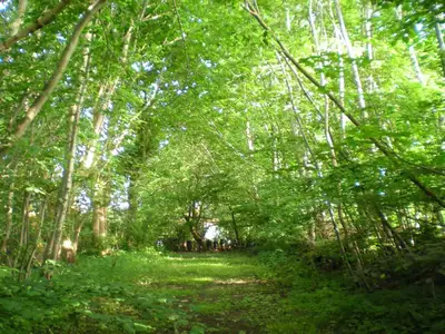 Outdoor