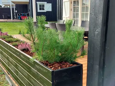 Outdoor