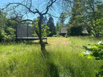 Outdoor