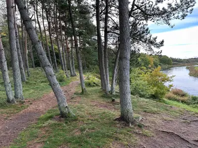 Outdoor