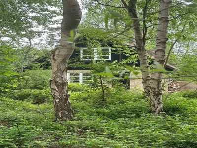 Outdoor
