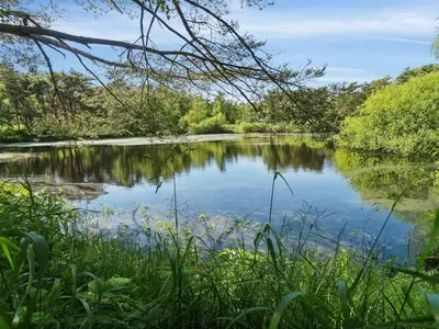 WaterView