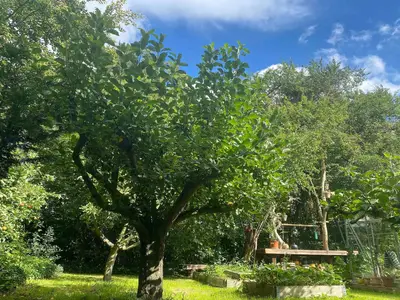 Outdoor