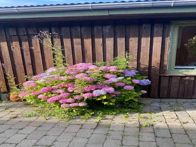 Outdoor