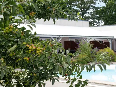 Outdoor