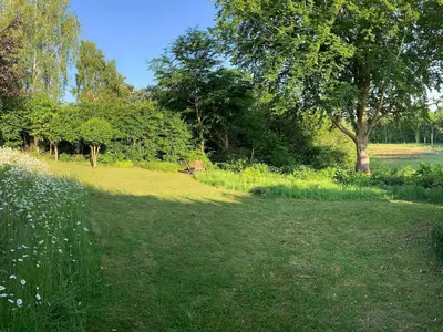 Outdoor
