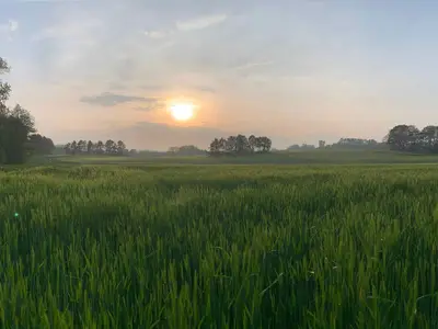 Outdoor