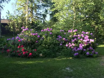 Outdoor