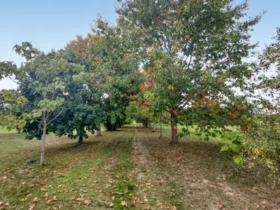 outside