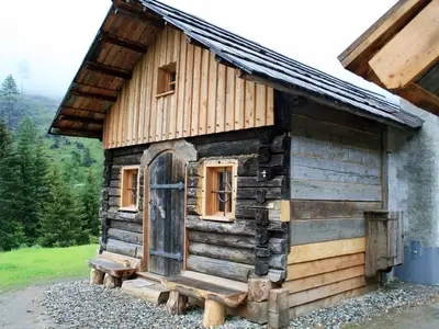 Ferienhaus für 5 Personen (56 m²) in Ramingstein 4/10