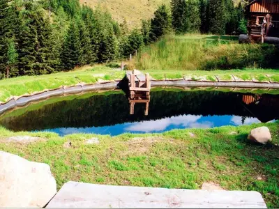 Ferienhaus für 5 Personen (56 m²) in Ramingstein 6/10