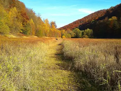 Ferienhaus für 6 Personen (125 m²) in Bad Lauterberg 2/10