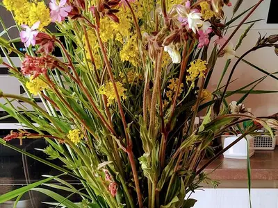 Ferienhaus für 6 Personen (125 m²) in Bad Lauterberg 9/10