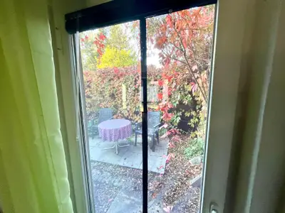 Im Herbst ein Farbenrausch der Natur