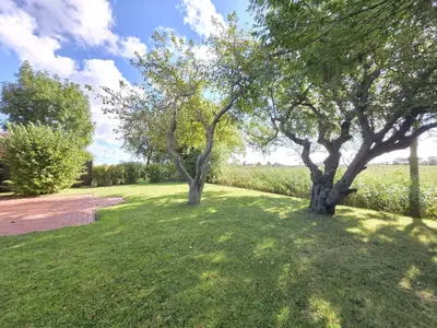 Ferienhaus für 8 Personen (120 m²) in Norden Norddeich 8/10