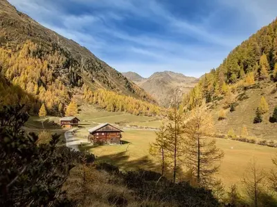 Ferienhaus für 6 Personen (64 m²) 5/10