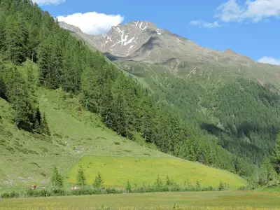 Ferienhaus für 6 Personen (64 m²) 7/10