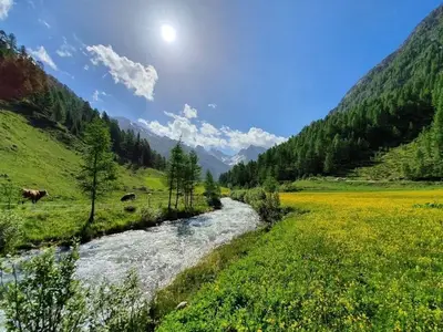 Ferienhaus für 6 Personen (64 m²) 10/10