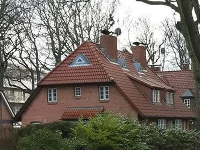 Ferienhaus für 4 Personen (65 m²) in Wyk auf Föhr 1/10