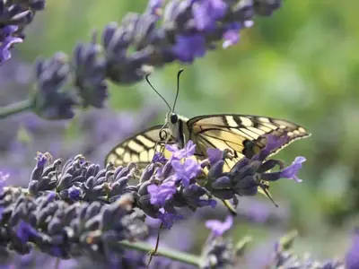 72ecf451-dc3c-466b-952d-6d73f4b0ee75