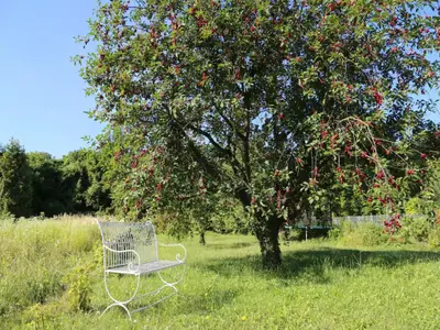 4983d0c0-b591-4901-9812-5cee63e875c7