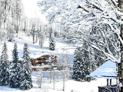 Winter at Moosz11 Mountain Lodge  winter