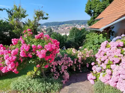 Moarhofstöckl_Blüten Eingangsbereich_Oststeiermark