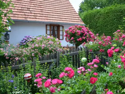 Moarhofstöckl_Blumen und Kräuter_Oststeiermark