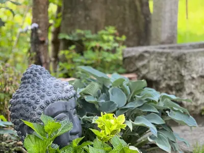 Little Hideaway im Zilltertal