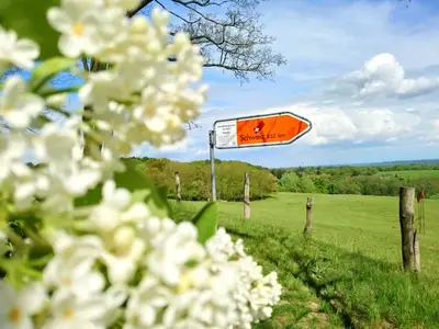 Ferienhaus für 3 Personen (40 m²) in Langhagen 8/10