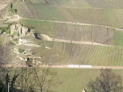 Blick vom Wohnzimmer