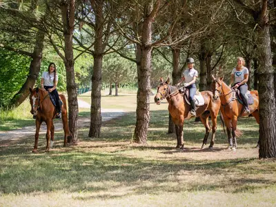 Ferienhaus für 4 Personen (65 m²) in Rosolina 7/10