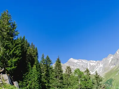 Ferienhaus für 4 Personen (55 m²) in Matrei in Osttirol 10/10