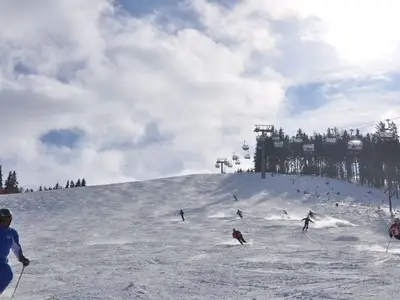 Ferienhaus für 8 Personen (94 m²) in Elsenbrunn 8/10