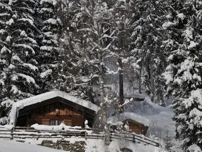 Ferienhaus für 4 Personen (26 m²) in St. Johann 1/10