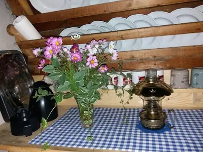 Ferienhaus für 6 Personen (64 m²) in Innervillgraten 3/10