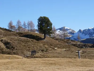 Ferienhaus für 4 Personen (42 m²) in Vordere Asten 9/10