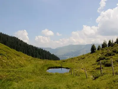 Ferienhaus für 10 Personen (100 m²) in Windau 7/10