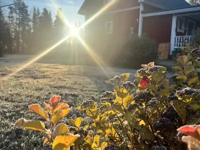 Ferienhaus für 6 Personen (110 m²) in Kärendöjärvi 10/10