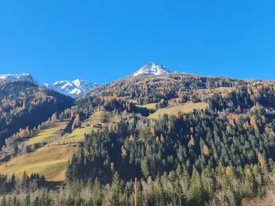 Ferienhaus für 4 Personen (33 m²) in Großkirchheim 6/10