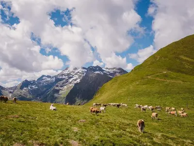 Ferienhaus für 14 Personen (140 m²) in Pruggern 10/10