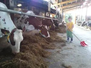 Ferienhaus für 5 Personen (70 m²) in Wennbüttel