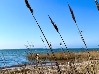 Ferienhaus für 4 Personen (85 m²) in Nisdorf 6/10